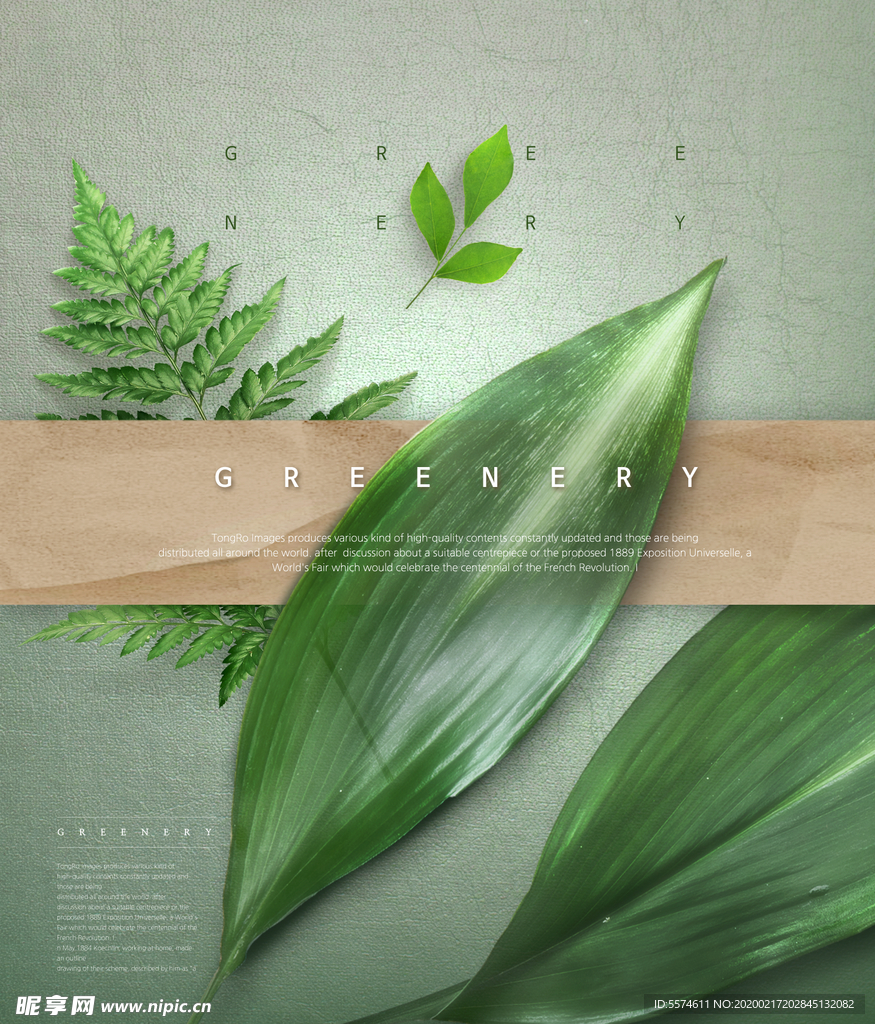 春夏绿色叶子海报