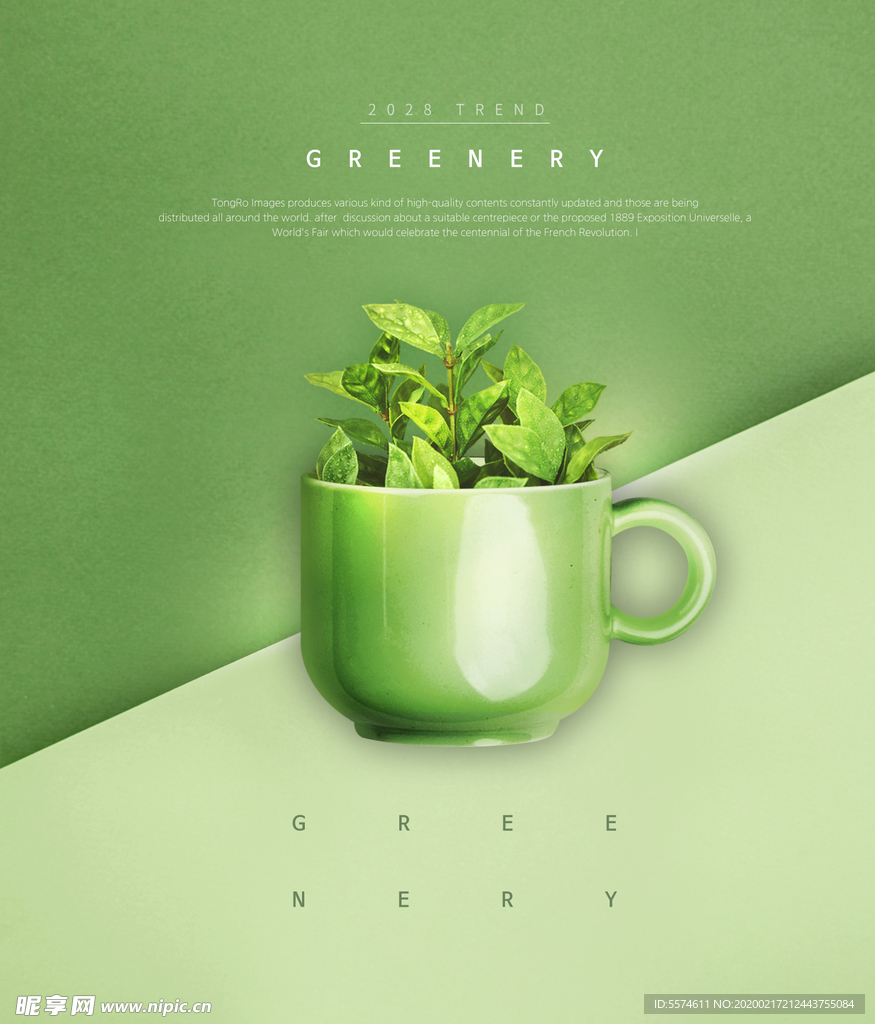 春夏绿色叶子海报