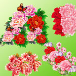 矢量牡丹花 黄色牡丹花图片