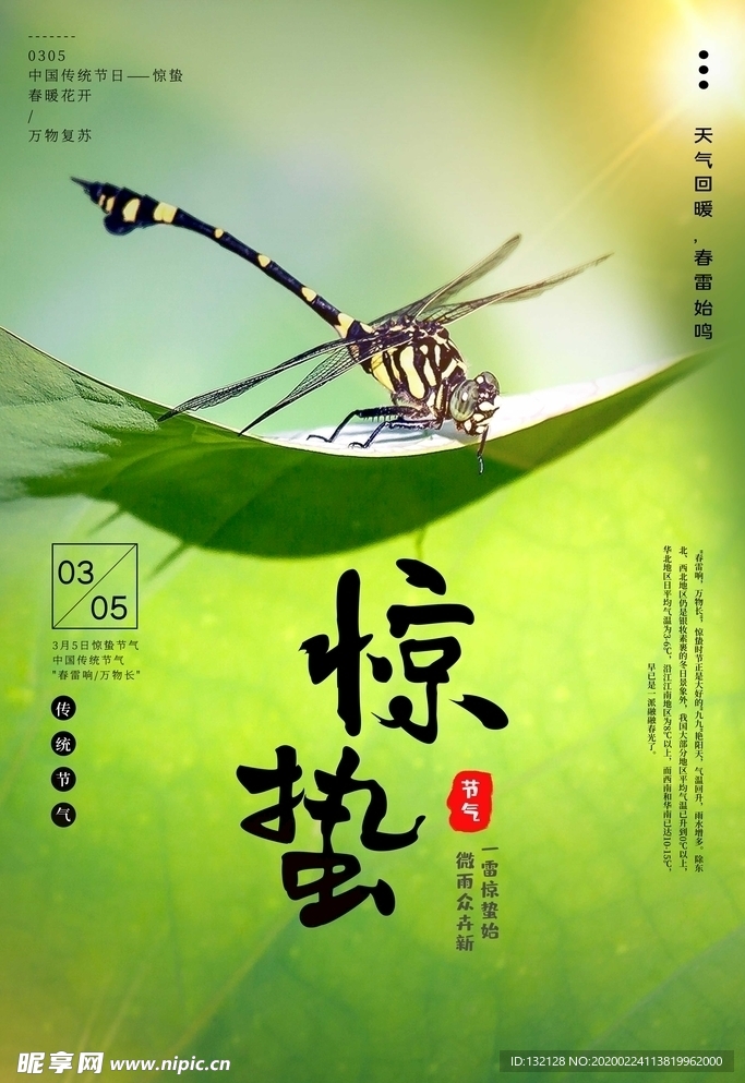 24节气惊蛰海报