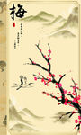 梅的写真海报
