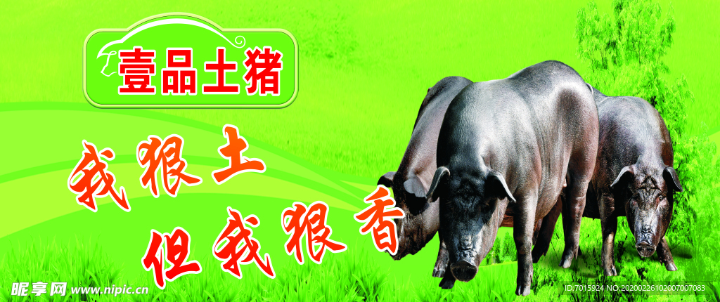 黑猪肉画册 黑猪肉 黑猪肉折页