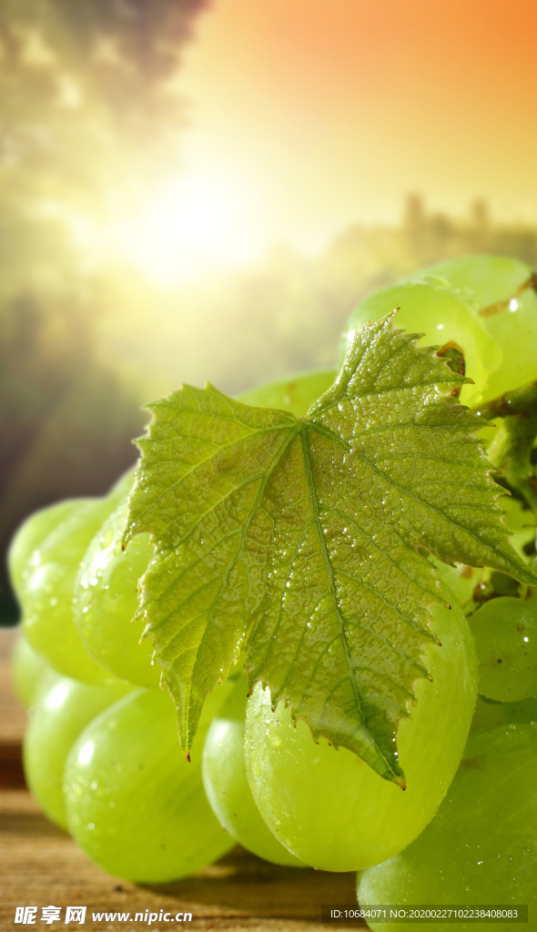 高清生鲜葡萄水果蔬菜食物