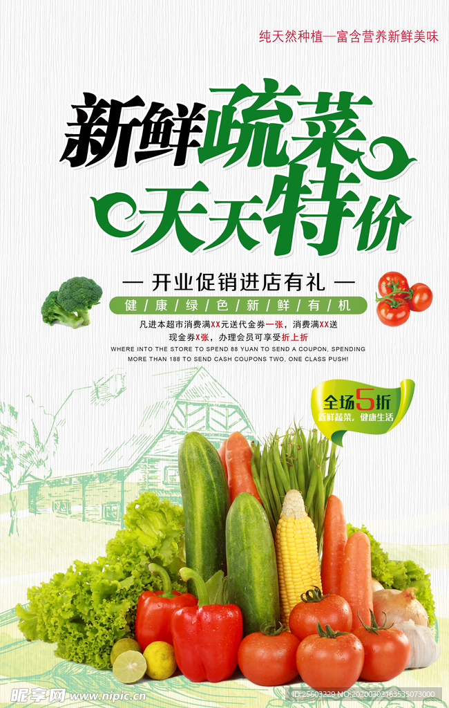 新鲜蔬菜天天特价开业促销