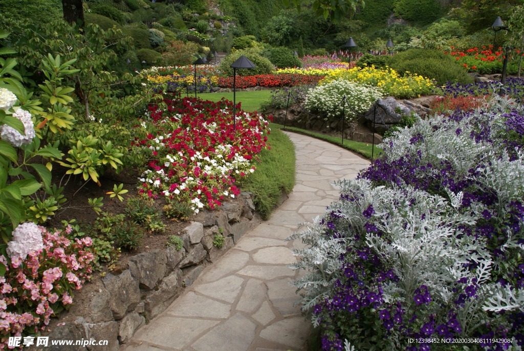 漂亮的花园美景摄影