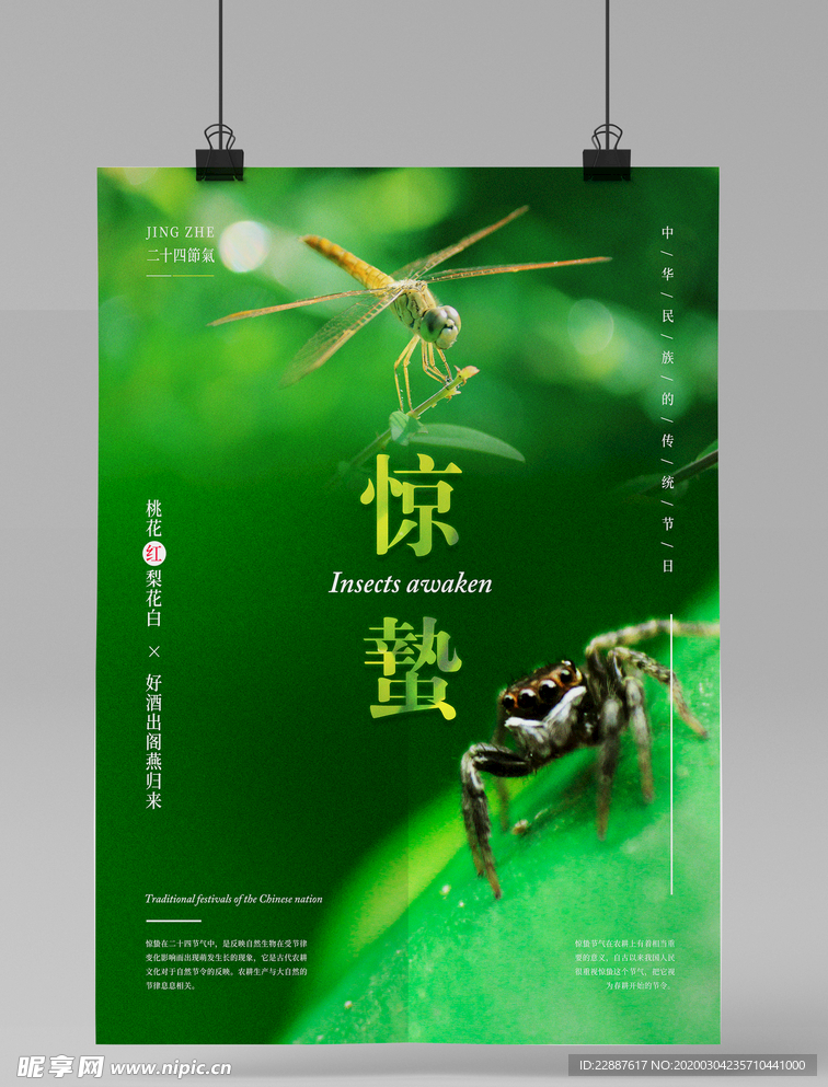 清新惊蛰24节气海报