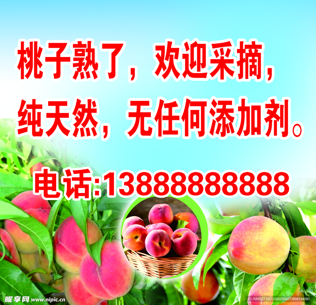 桃子熟了