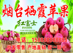 烟台苹果