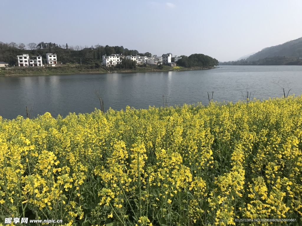 一江春水绿到江南