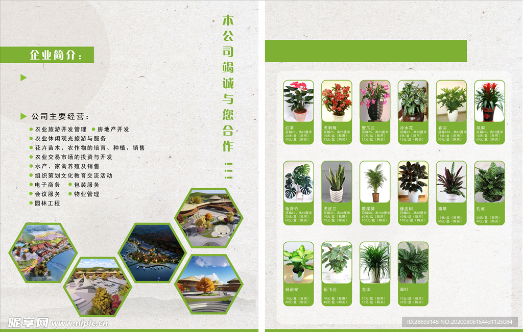 绿植宣传单