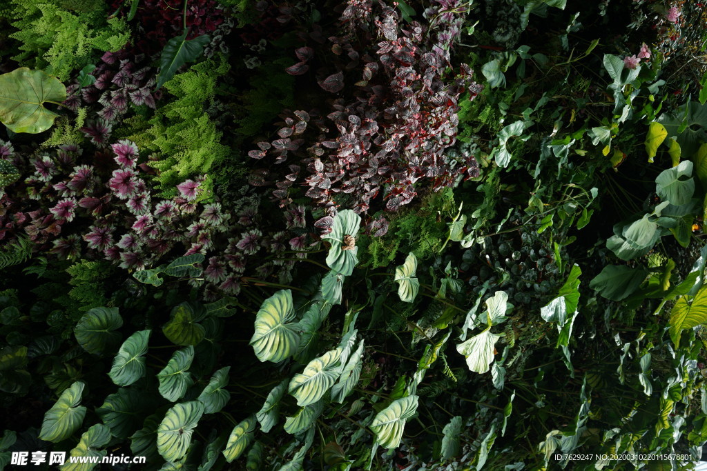 新加坡海滨湾温室植物园