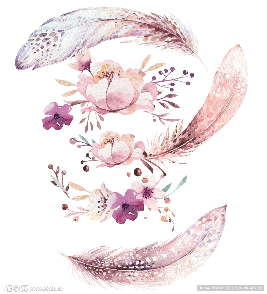 水彩羽毛花卉