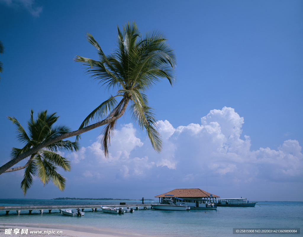 马尔代夫毛里求斯塞舌尔海岸