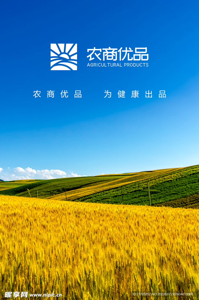 农商优品 小麦 蓝天白云 风景