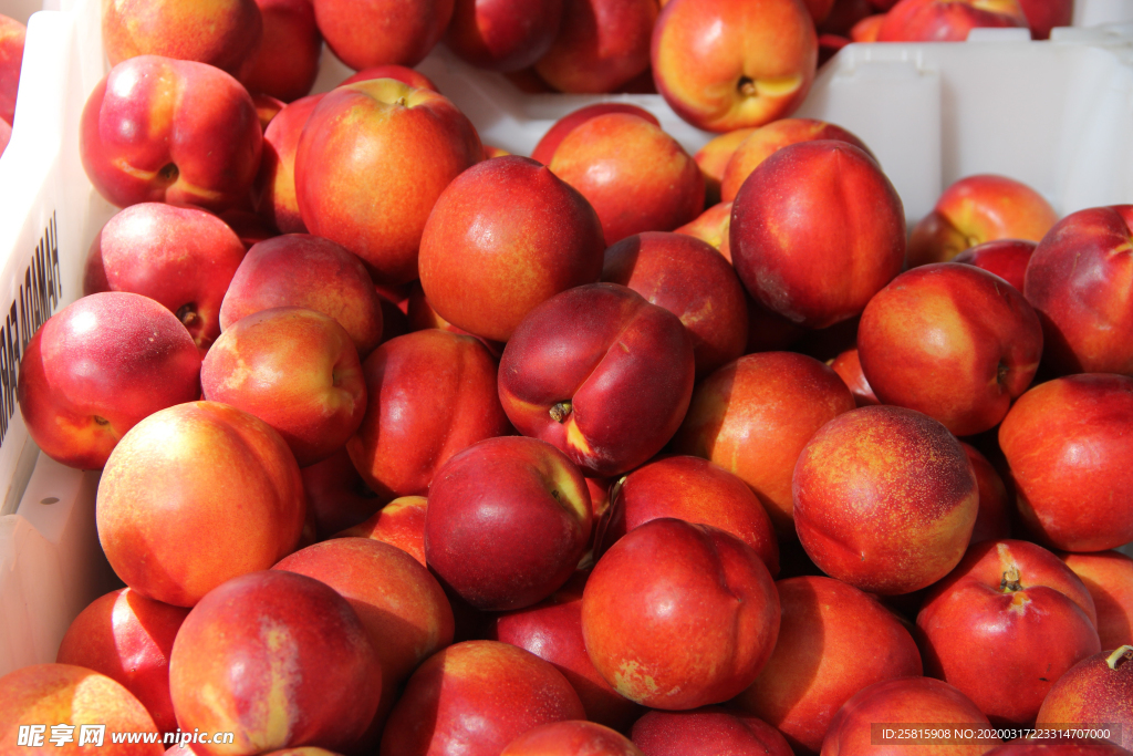 油桃蜜桃桃子图片