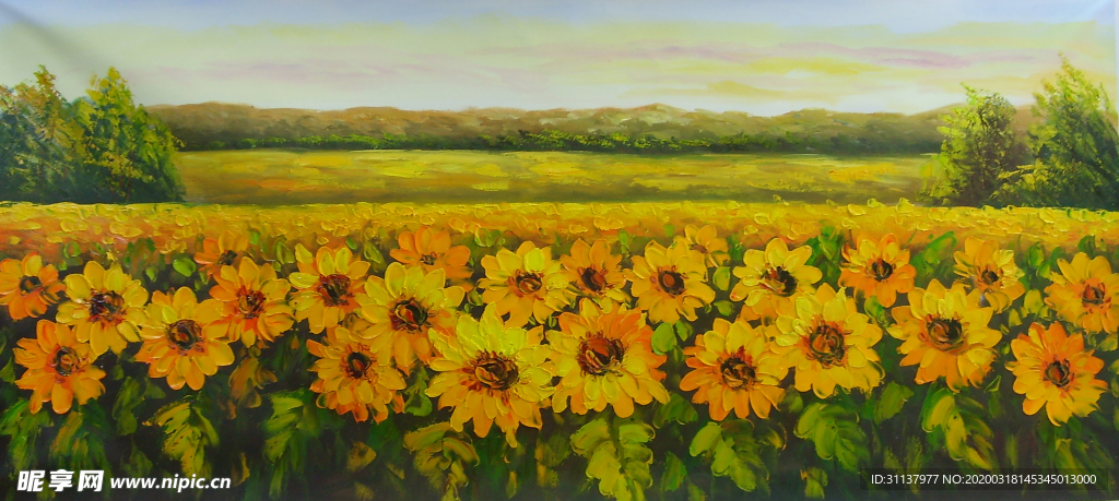向日葵田园风景
