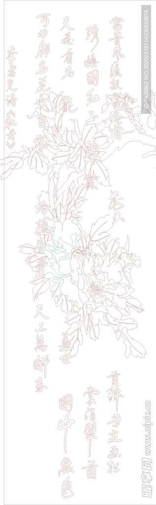 牡丹 牡丹颂 富贵