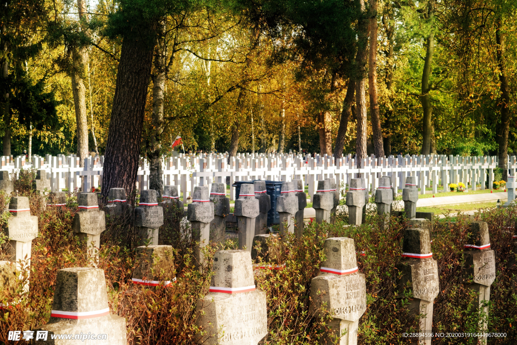 景观 秋 公墓 英雄 堕落 战