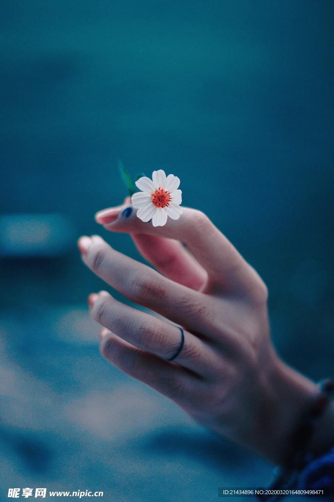 地产 图片 手 小花