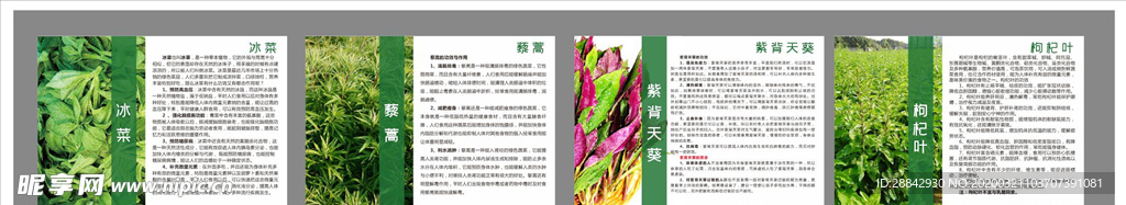 绿色蔬菜简介