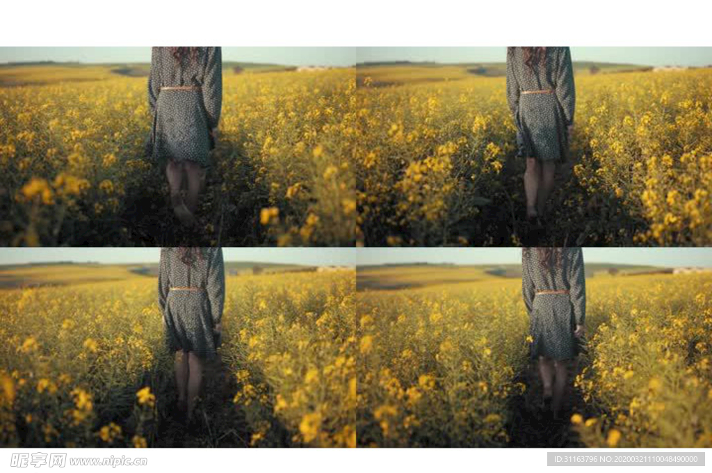 在盛开油菜花美女走过的女孩