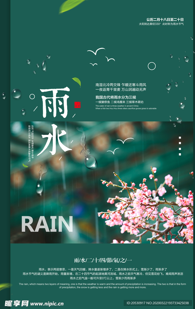 雨水节气海报