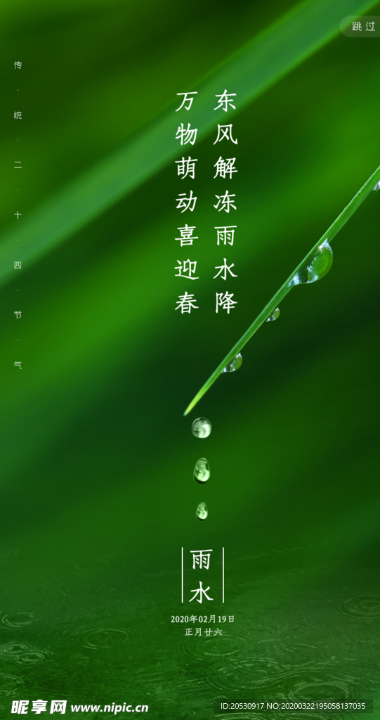 雨水节气海报