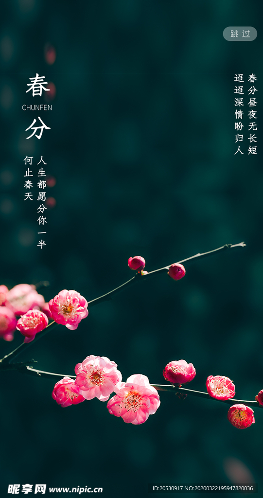 春分二十四节气