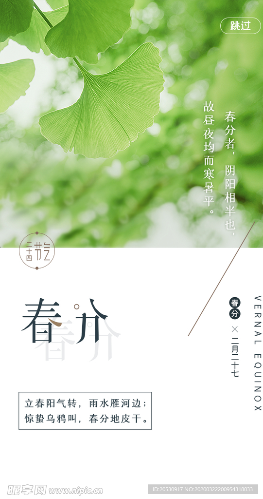 春分节气海报