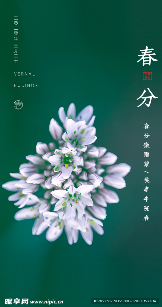 春分节气海报