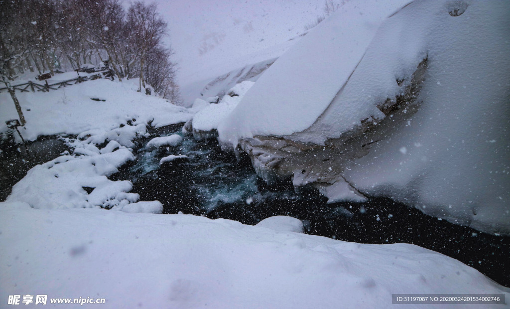 雪 溪水 自然