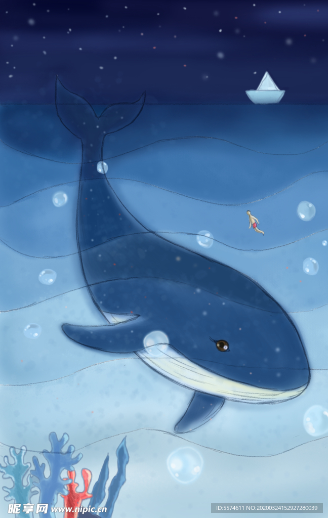 鲸鱼插画