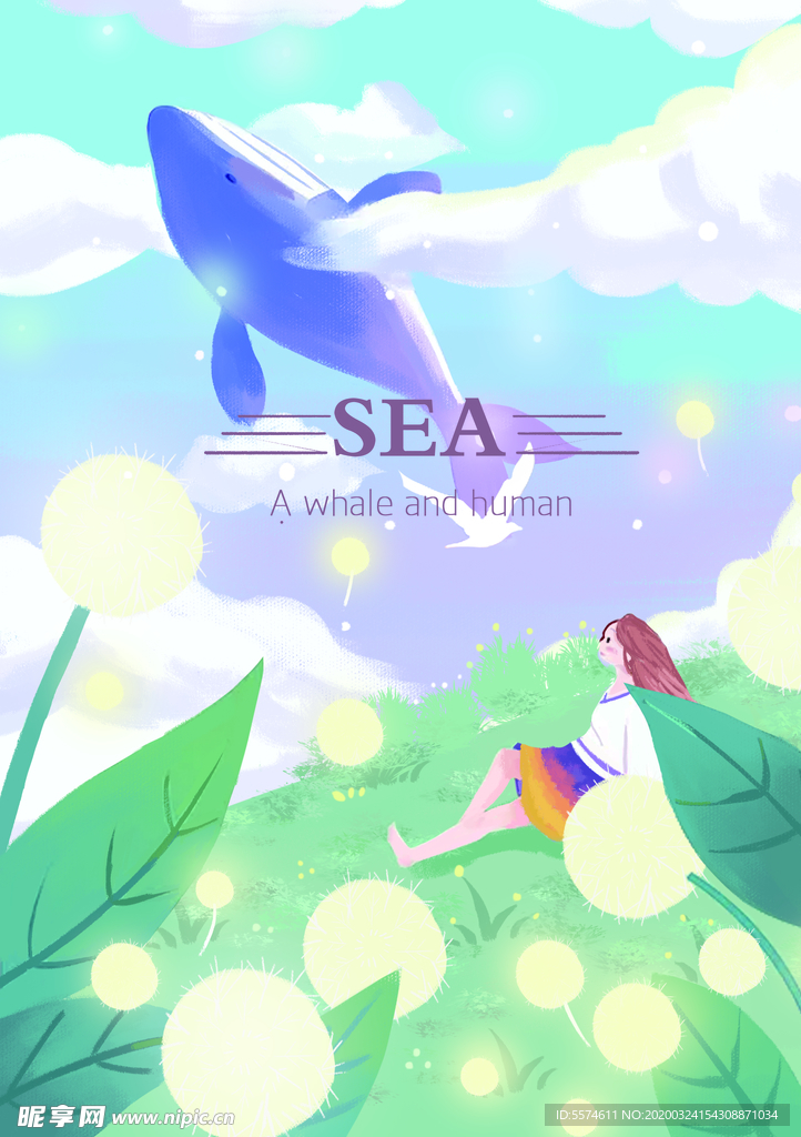 鲸鱼插画