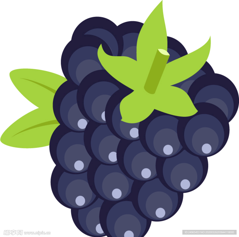 矢量葡萄