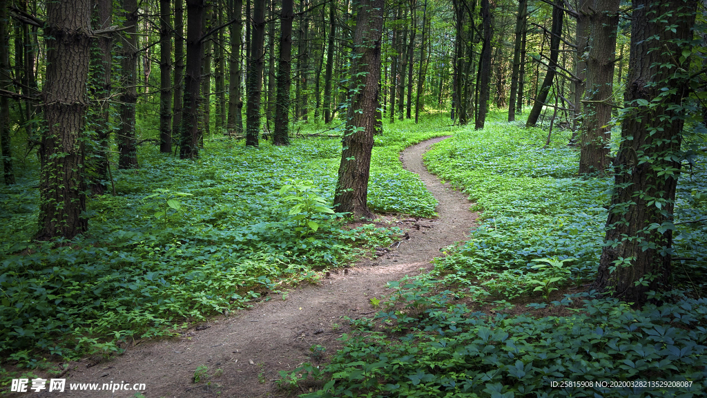 公路山路小径小道图片
