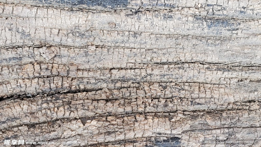 老木头 纹理 贴图 门板 年代