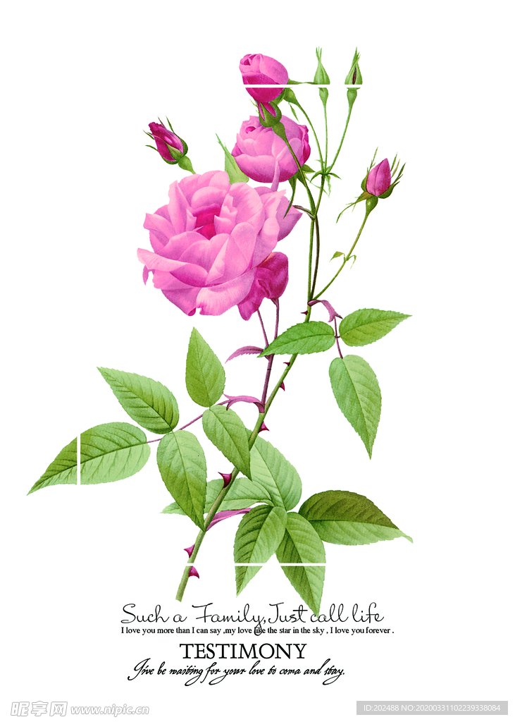 小清新花卉手机壳