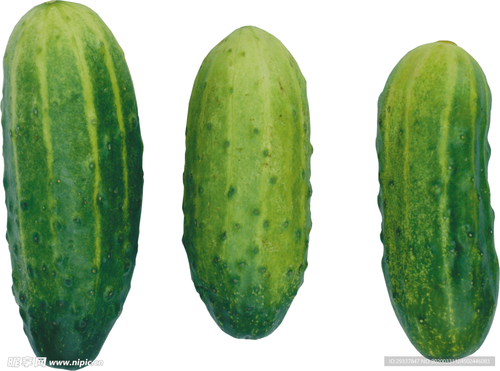 透明黄瓜png素材