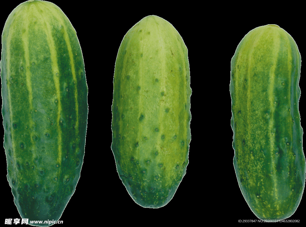 透明黄瓜png素材