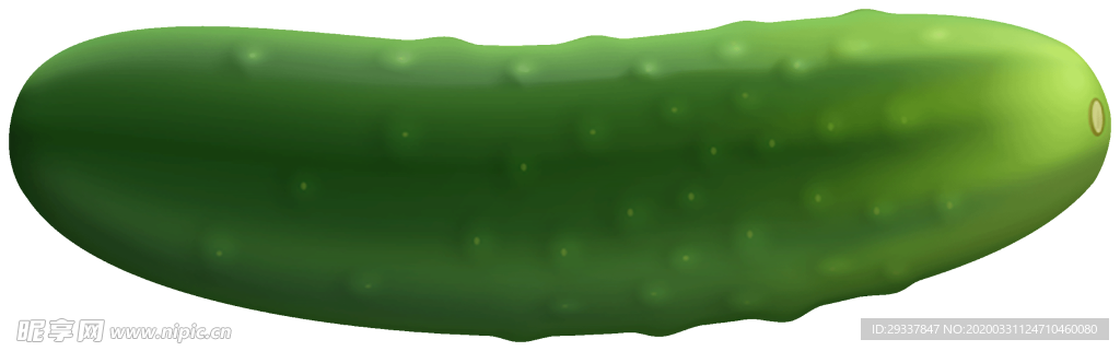 透明黄瓜png素材