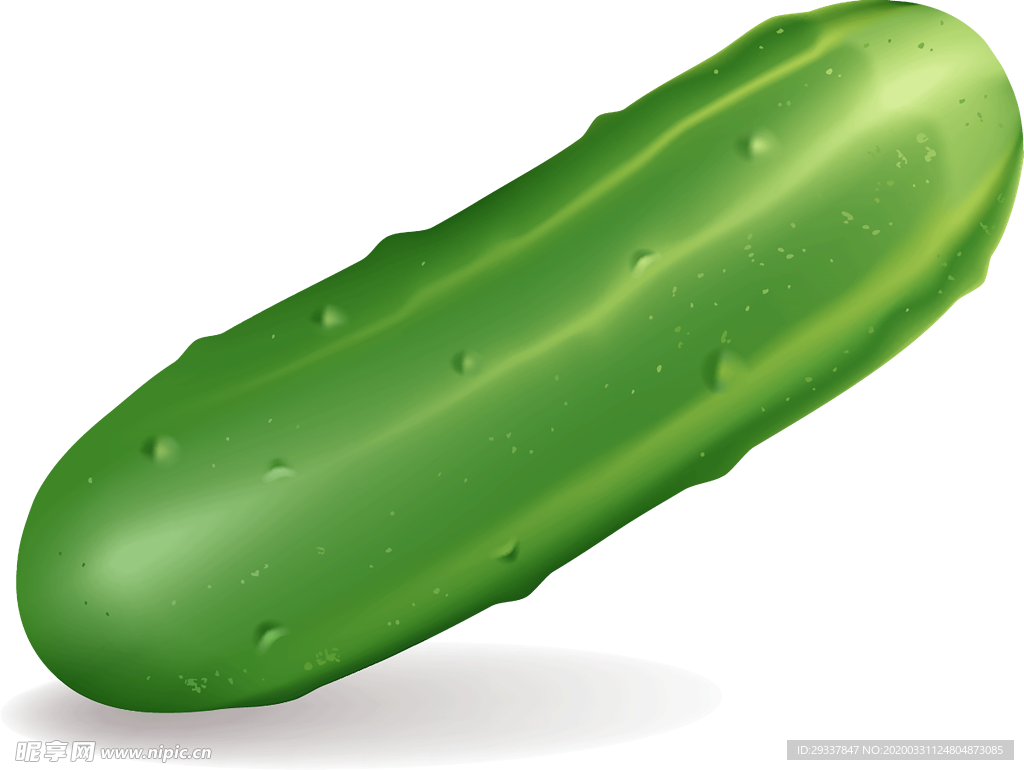 透明黄瓜png素材