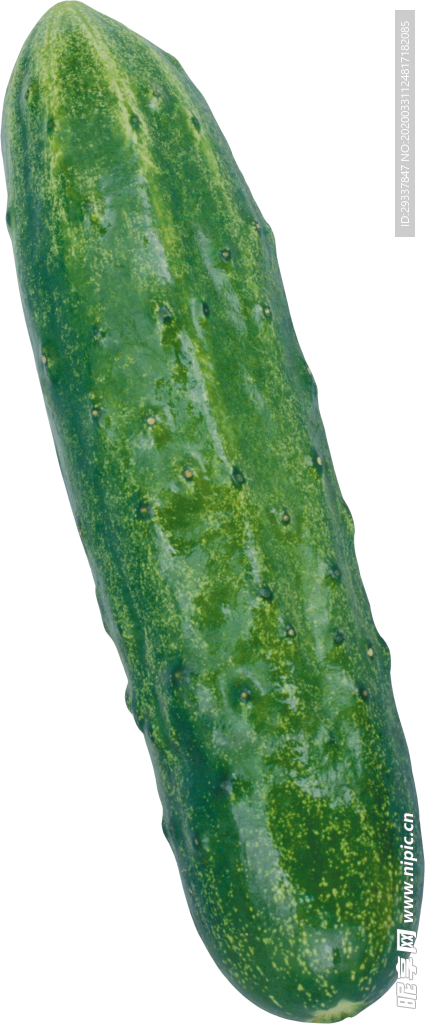 透明黄瓜png素材
