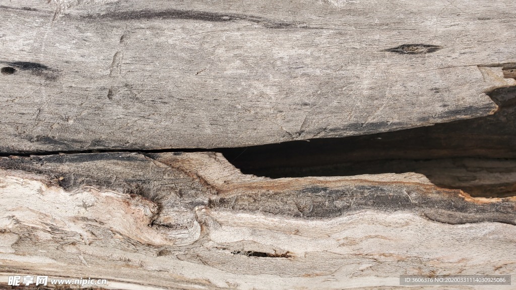 树皮材质 贴图 纹理 树木