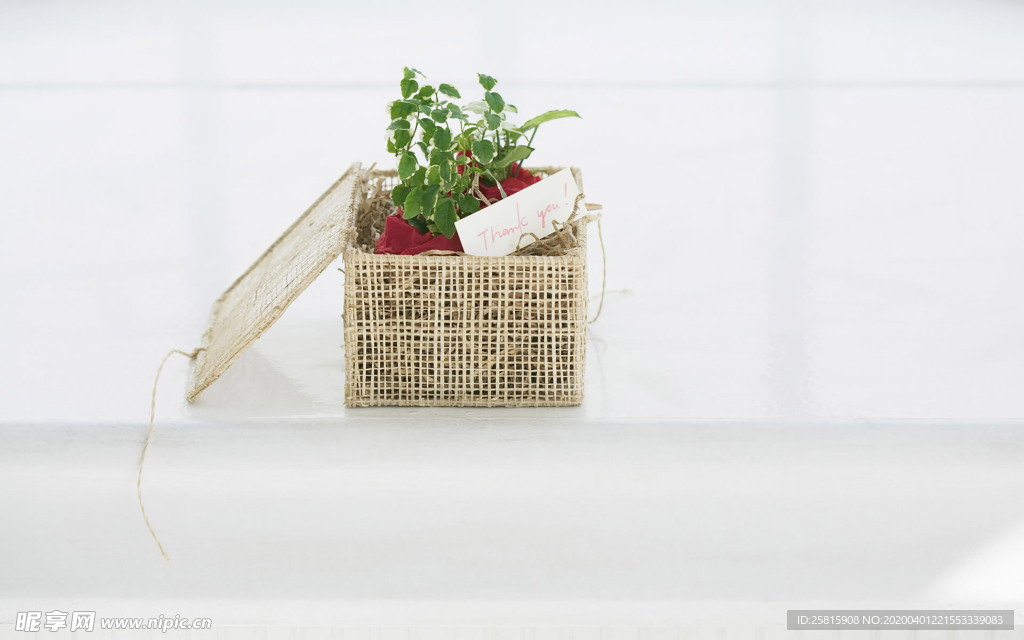 室内盆栽花草摆设搭配