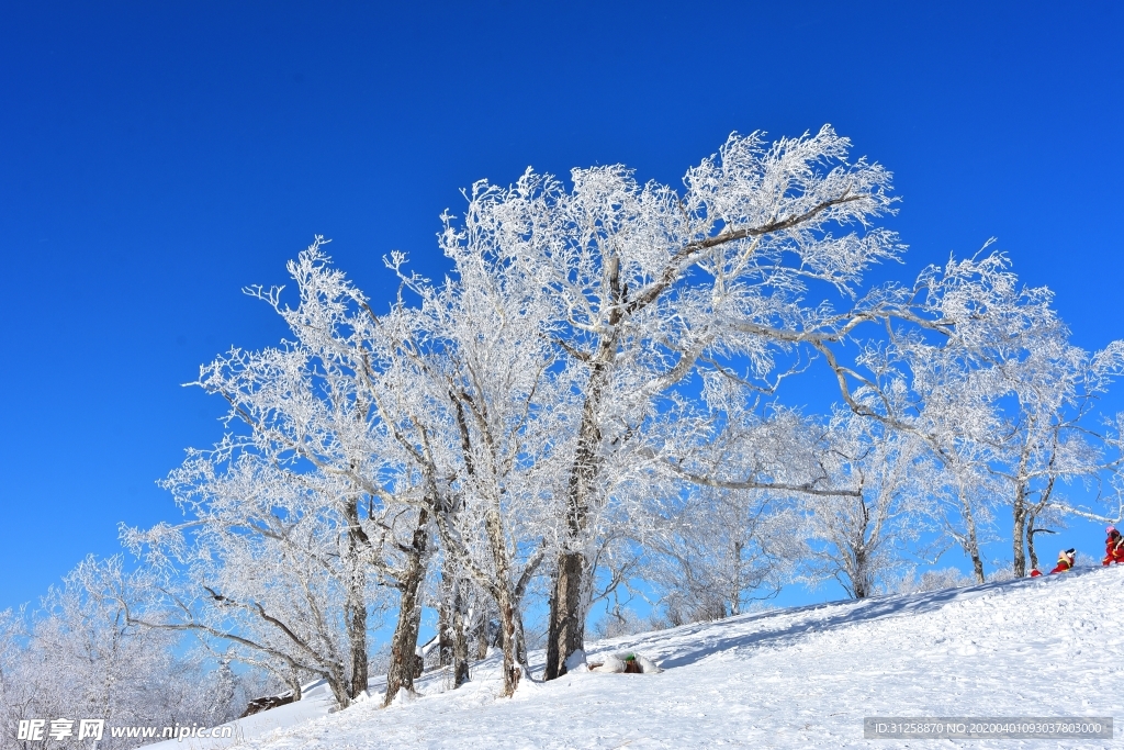 雪景图片