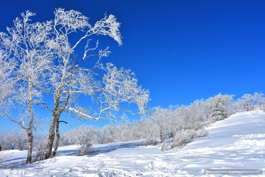 雪景图片