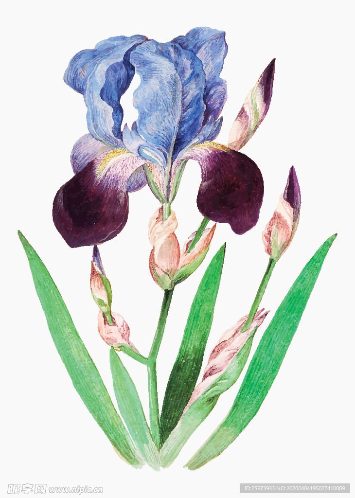 范思哲 动画 马车 马头 链子