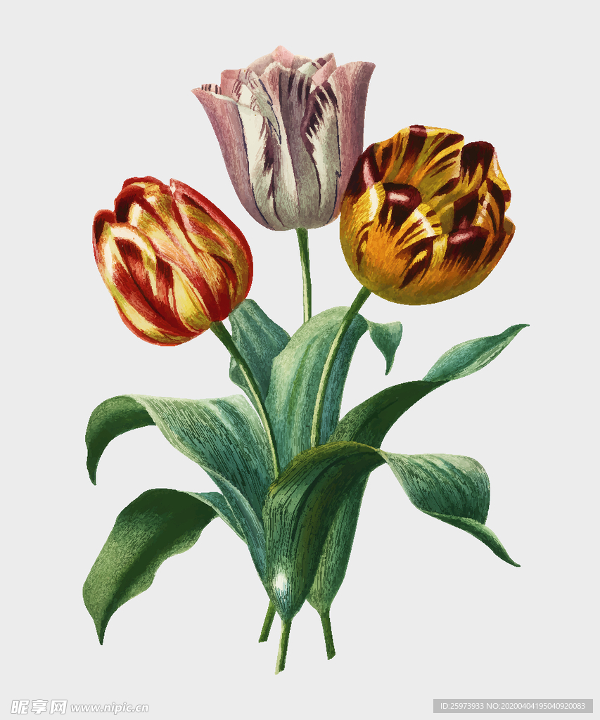 范思哲 动画 马车 马头 链子