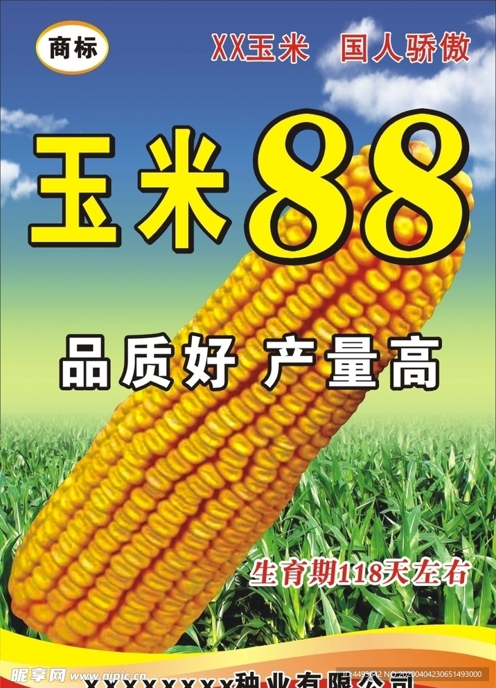 玉米海报