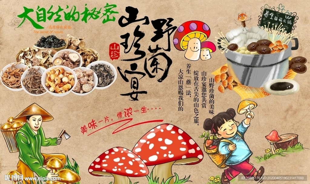 野山菌背景墙PSD模板下载